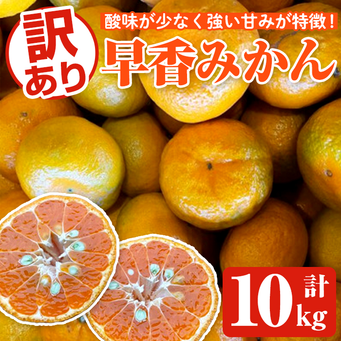 <2025年12月下旬以降順次発送予定>訳あり早香みかん(計10kg) 国産 フルーツ 果物 蜜柑 柑橘 みかん 訳あり【松永青果】akn053-43鹿児島県阿久根市17000果物・フルーツみかん・柑橘類
