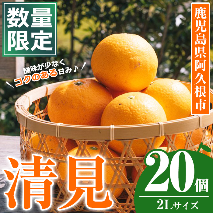 <2026年4月上旬以降順次発送予定>数量限定!鹿児島県産 清見 (20個・2L) 柑橘 フルーツ 果物 国産 みかん 期間限定 きよみ キヨミ ミカン【株式会社イロドリ】akn069-09鹿児島県阿久根市11000果