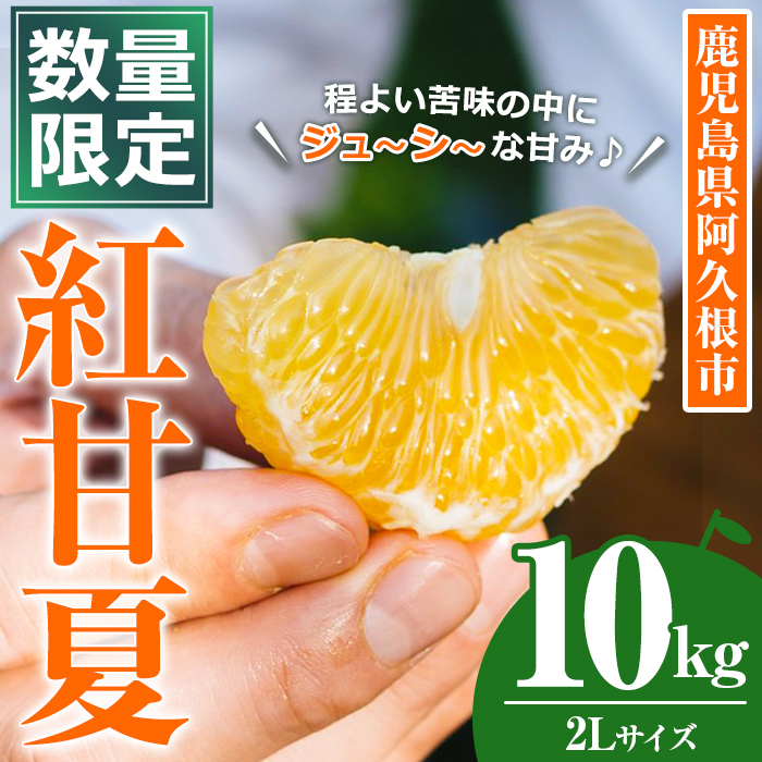 <2026年3月中旬以降順次発送予定>数量限定!鹿児島県産 紅甘夏 (10kg・2L) 柑橘 フルーツ 果物 国産 みかん 期間限定 数量限定 ベニアマナツ ミカン 旬 【株式会社イロドリ】akn069-10鹿児島県