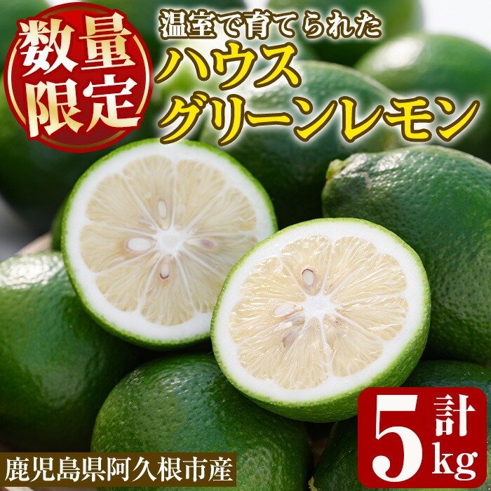 数量限定!ハウスマイヤーグリーンレモン(5kg) 国産 檸檬 果実 果物 フルーツ 柑橘 デザート お菓子作り 期間限定 数量限定【桐野柑橘株式会社】akn070-18鹿児島県阿久根市17000果物・フルーツ