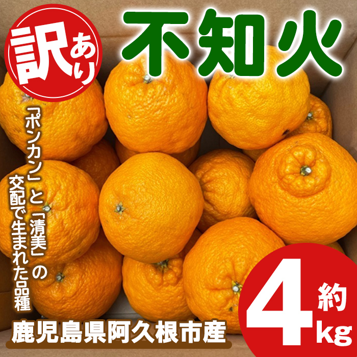 <2026年3月上旬以降順次発送予定>訳あり!露地栽培の不知火(4kg) 国産 不知火 しらぬい 柑橘 果物 フルーツ デザート 露地 果実 期間限定 数量限定 【古田果樹園】akn093-03鹿児島県阿久根市10