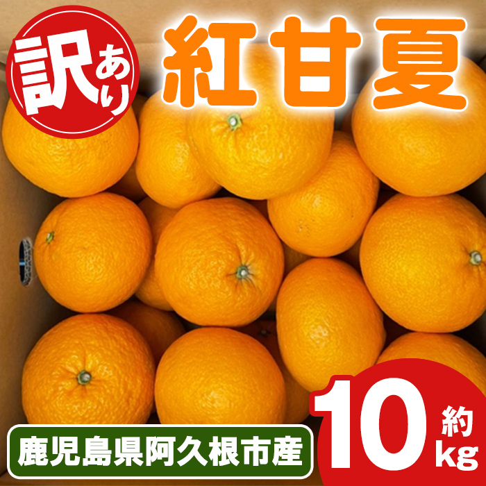 <2026年2月上旬以降順次発送予定>訳あり!紅甘夏(10kg) 国産 紅甘夏 柑橘 果物 フルーツ デザート 果実 期間限定 数量限定 【古田果樹園】akn093-04鹿児島県阿久根市10000果物・フルーツみかん