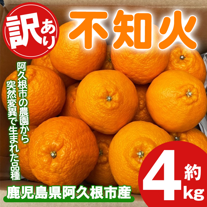 <2026年3月上旬以降順次発送予定>訳あり!露地栽培の不知火(4kg:大将季) 国産 不知火 しらぬい 柑橘 果物 フルーツ デザート 露地 果実 期間限定 数量限定 【古田果樹園】akn093-07鹿児島県