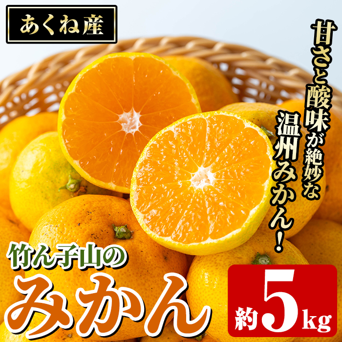 <2025年11月以降順次発送予定>数量限定!竹ん子山のみかん(約5kg) 国産 鹿児島県産 阿久根産 ミカン 蜜柑 みかん 柑橘 果物 フルーツ 温州みかん 果実 期間限定 【竹ん子山】akn097-03鹿児島県