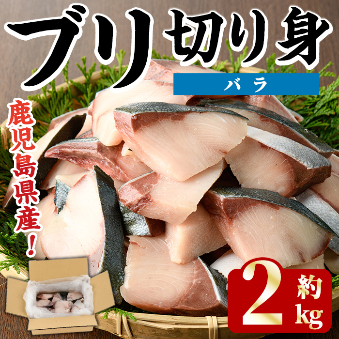 <2025年11月以降順次発送予定>ブリの切り身(バラ・約2kg) 国産 鹿児島県産 ブリ 鰤 魚貝 魚介 海産物 焼き魚 煮つけ ブリカツ バラ 【株式会社島水】akn102-02鹿児島県阿久根市21000魚介・海産