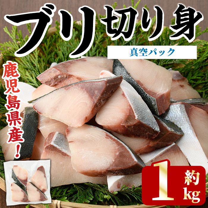 <2025年11月以降順次発送予定>ブリの切り身(真空パック・約1kg) 国産 鹿児島県産 ブリ 鰤 魚貝 魚介 海産物 焼き魚 煮つけ ブリカツ 真空 【株式会社島水】akn102-03鹿児島県阿久根市12000魚介