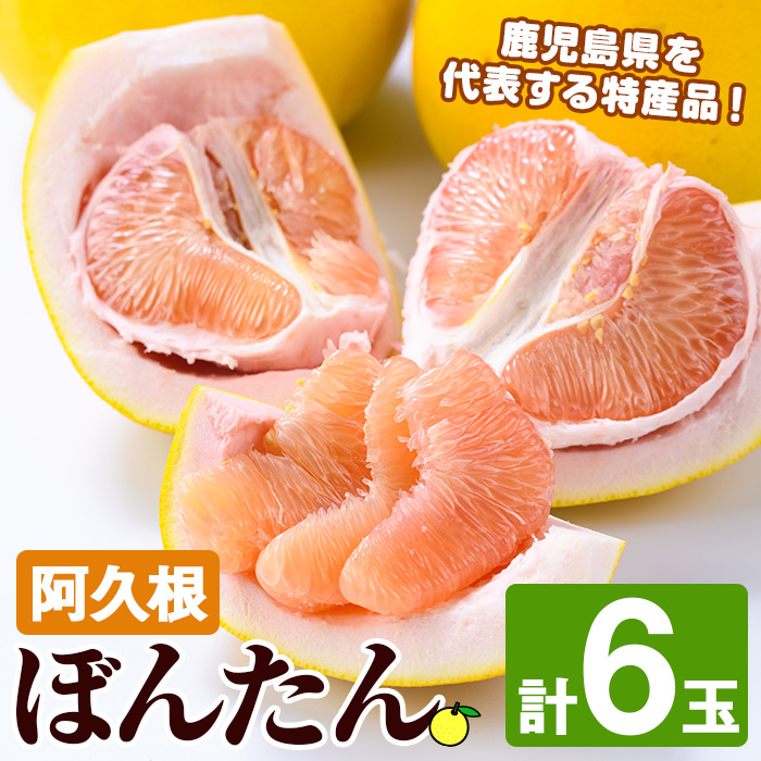 <2025年12月中旬以降順次発送予定>阿久根ぼんたん(Lサイズ・6玉入) 阿久根市 ボンタン 文旦 柑橘 果物 フルーツ 新鮮 旬 特産品 鹿児島県 九州産 国産 期間限定【泰平食品】akn007-03鹿児島県