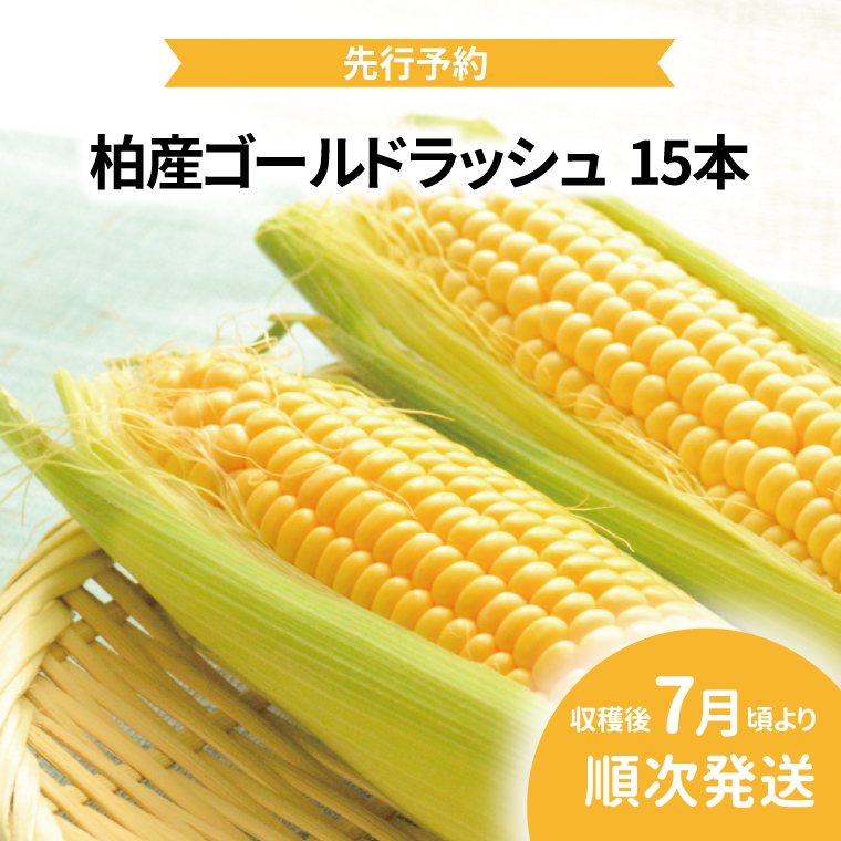 AF-44 柏産ゴールドラッシュ(とうもろこし) 15本千葉県柏市12500野菜・きのこ