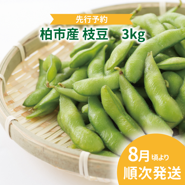AF-46 柏産枝豆 3kg千葉県柏市12500野菜・きのこ