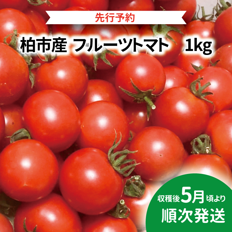 AF-62A 柏市産 フルーツトマト 1kg千葉県柏市19000野菜・きのこ