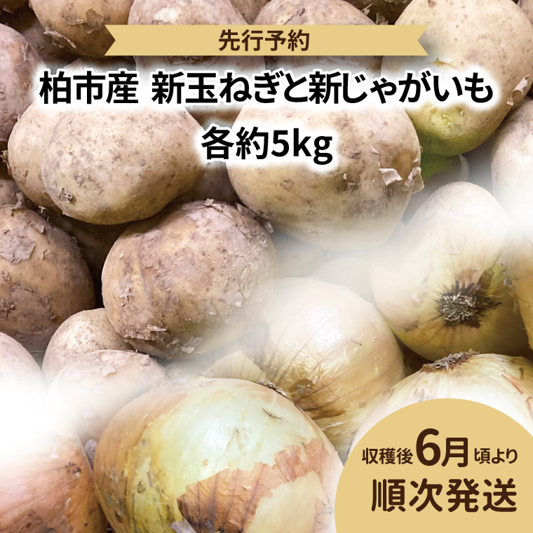 AF-63 柏市産新玉ねぎ(約5kg)と新じゃがいも(約5kg)詰め合わせ千葉県柏市17000野菜・きのこ