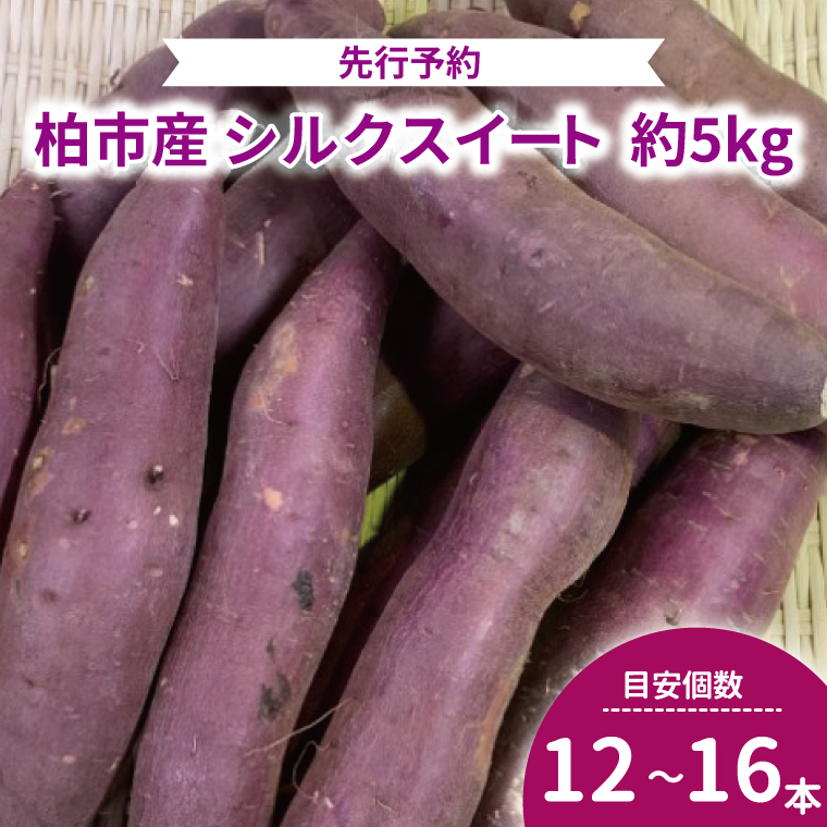 AF-71 柏産シルクスイート 5kg千葉県柏市12500野菜・きのこ