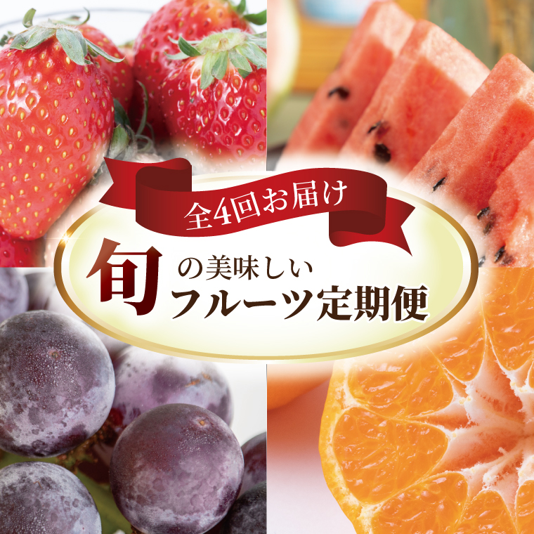 AF-72 【定期便】柏市産 旬の美味しいフルーツ 全4回 (2023/10/1〜)千葉県柏市58500果物・フルーツ