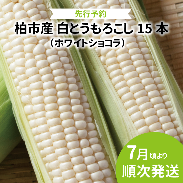 AF-73 sY@Ƃ낱@15{ts19000؁ÊƂ낱