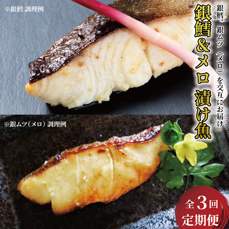 CG-205A 【定期便】「銀の定期便」銀鱈&メロ 3か月千葉県柏市65000魚介・海産物