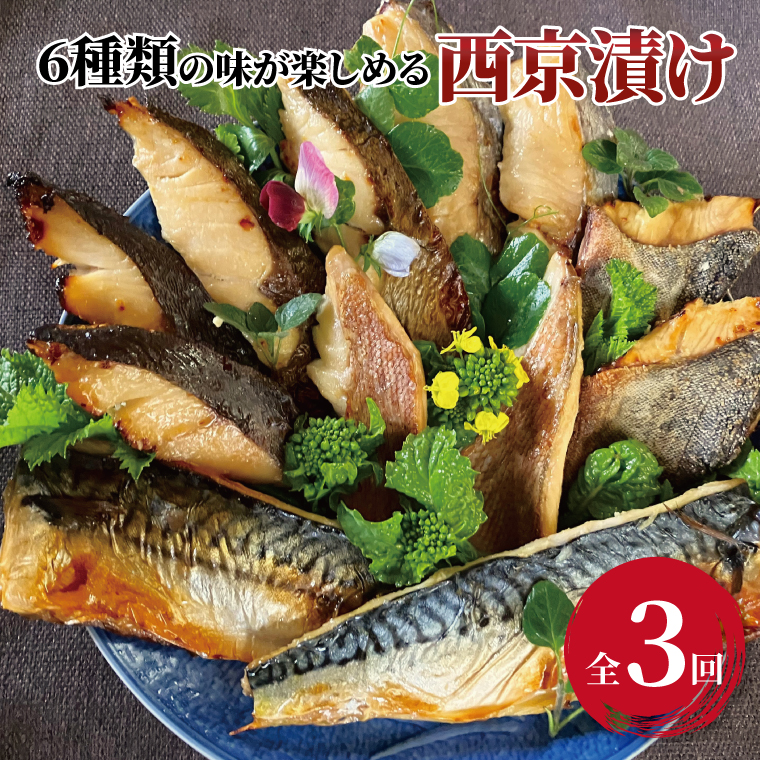 CG-230A 【定期便】ミックス盛・Jr 3か月千葉県柏市30000魚介・海産物