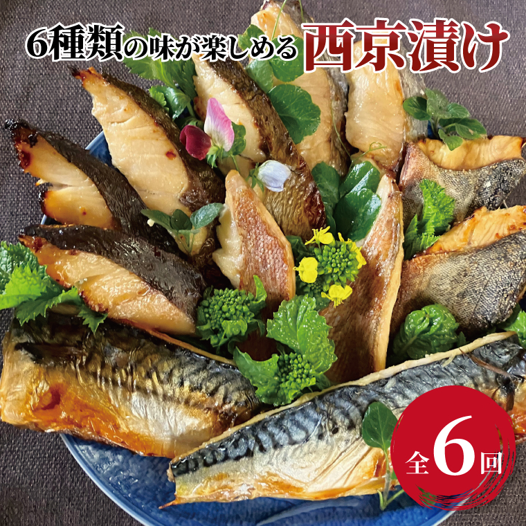 CG-232A 【定期便】ミックス盛・Jr 6か月千葉県柏市60000魚介・海産物