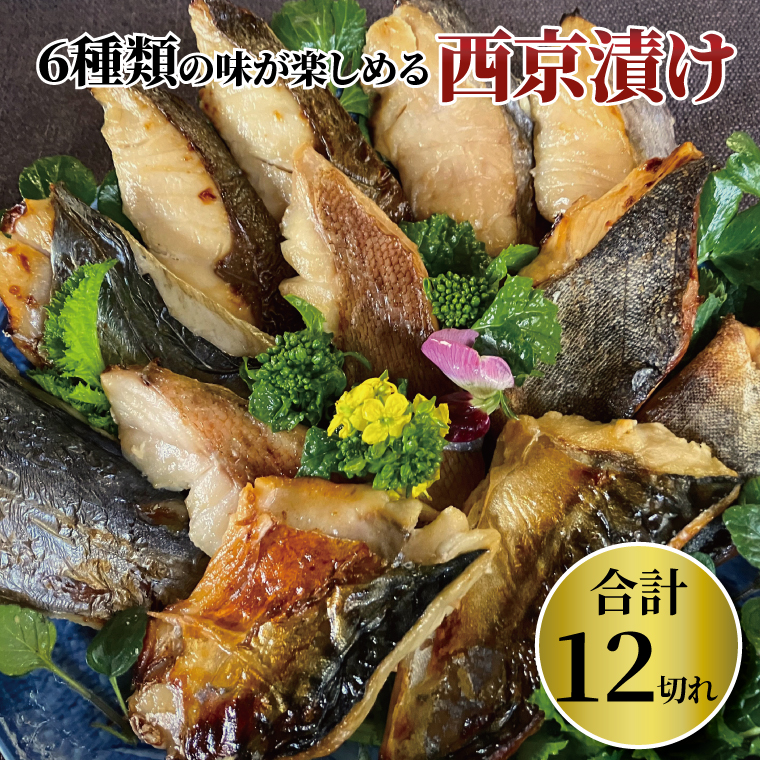 CG-2B IЂ~bNXԎq12N肩炨qlHׂ₷ts10000ECY