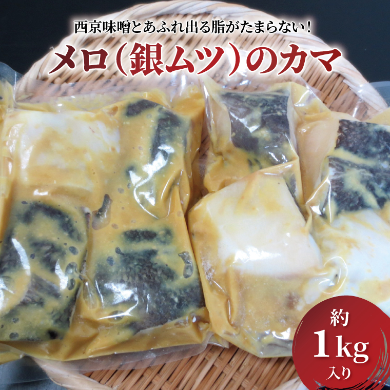 CG-51C ̃J}i⃀cjЂ1kgts18000ECY
