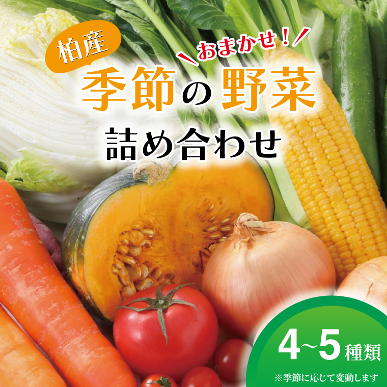 O-7 【柏産】季節の野菜詰め合わせBOX千葉県柏市13000野菜・きのこ
