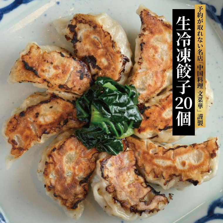 T-58 文菜華 ノンメタポーク100%使用の生冷凍餃子20個千葉県柏市8500肉