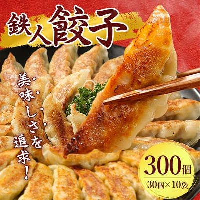 鉄人餃子 300個(30個×10袋)【配送不可地域:離島】【1469397】奈良県大和高田市17000鍋セット・総菜・加工食品総菜
