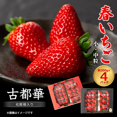 令和8年度 春いちご 古都華 約300g×4パック 合計約1200g【配送不可地域:離島・北海道・沖縄】【1486658】奈良県大和高田市15000果物・フルーツいちご