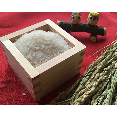 2024年4月発送開始『定期便』 奈良県大和高田市産ヒノヒカリ1kg×3 合計3kg 全6回【5161040】奈良県大和高田市42000米・パン白米