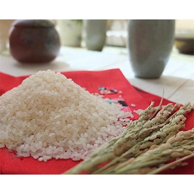 2024年2月発送開始『定期便』奈良県大和高田市産ヒノヒカリ5kg×2 合計10kg 全3回【5161122】奈良県大和高田市48000米・パン白米