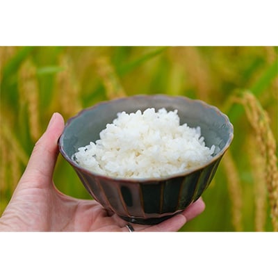 2024年2月発送開始『定期便』【無洗米】奈良県大和高田市産ヒノヒカリ5kg 全6回【5161134】奈良県大和高田市66000米・パン無洗米
