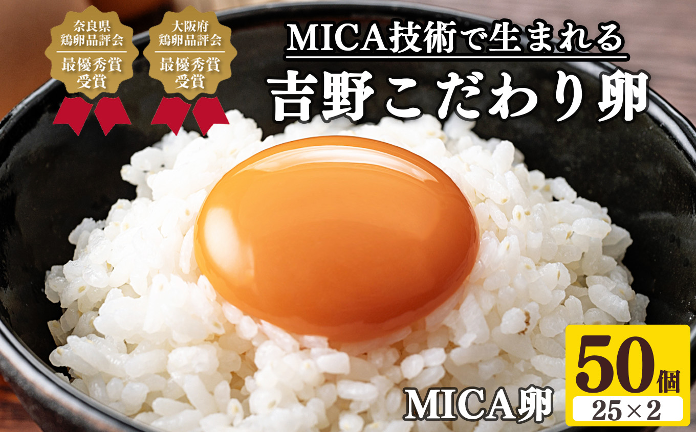g MICA LTCY 50 i45{ۏ5j yc{×g쒬ʕԗiz ^ V{{  ܂ ʎq  { Z ޗǌ{i]ŗDG܎ ޗǌޗǌc{11000