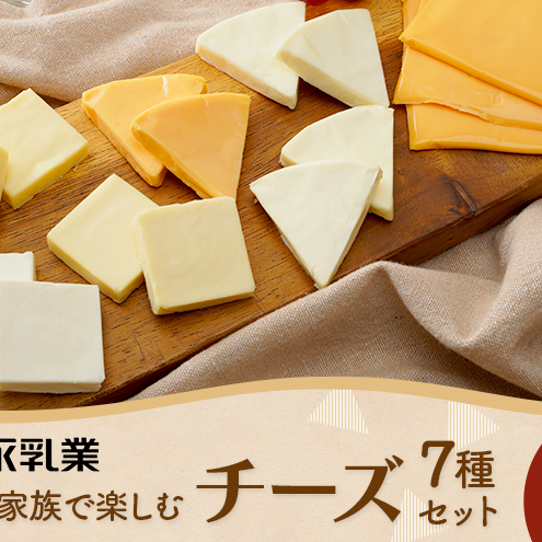 家族で楽しむチーズセット 8個セット 贅沢チーズ 詰め合わせ ワインのお供 つまみ おつまみ カマンベールチーズ クリームチーズ モッツァレラチーズ モッツァレラ 加工食品 乳製品 神奈川