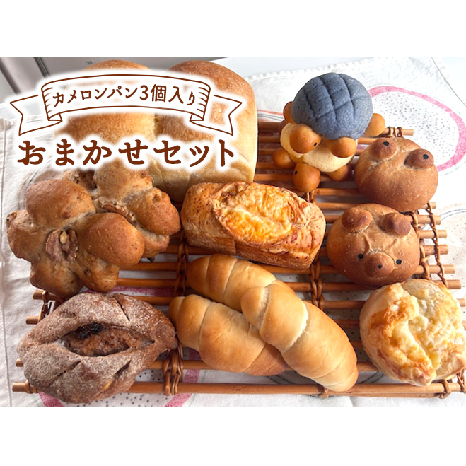 Jp3 ܂p ZbgyHpȂEyHpEVHpz _ސ쌧s8000āEpp