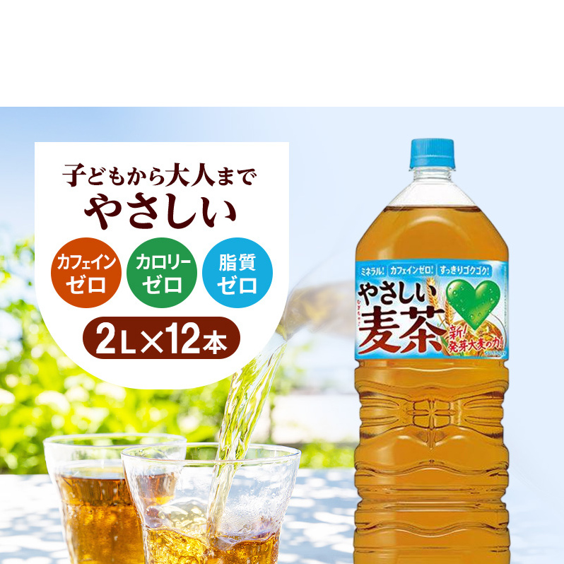 麦茶 定期便 3ヶ月 GREEN DA・KA・RA やさしい麦茶 2L × 12本(2ケース) サントリー ペットボトル 茶 お茶 飲料 飲み物 ドリンク 備蓄 常温 常温保存 カフェイン ゼロ カロリーゼロ 赤ちゃん 熱中症