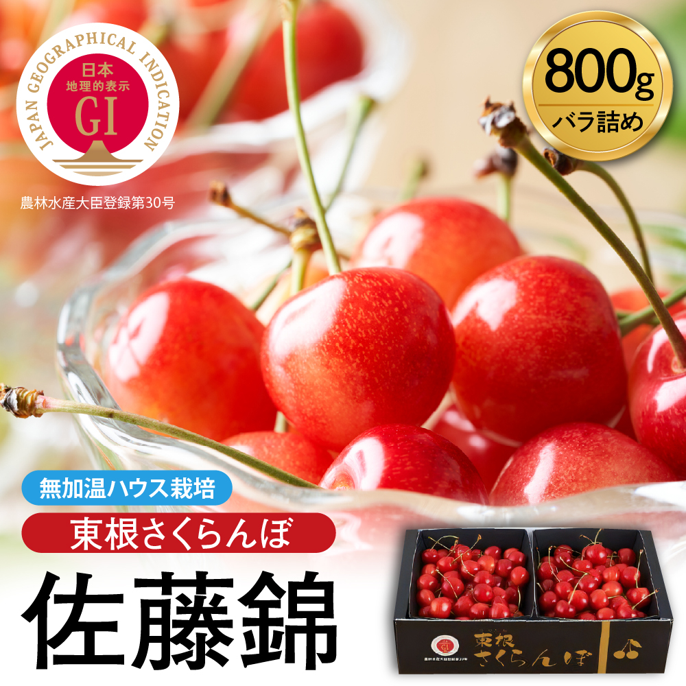 【2026年産 先行予約】先取り!無加温ハウス栽培 GI 「東根さくらんぼ」佐藤錦 800gバラ詰め JA園芸部提供 山形県 東根市 hi001-038山形県東根市27000果物・フルーツ