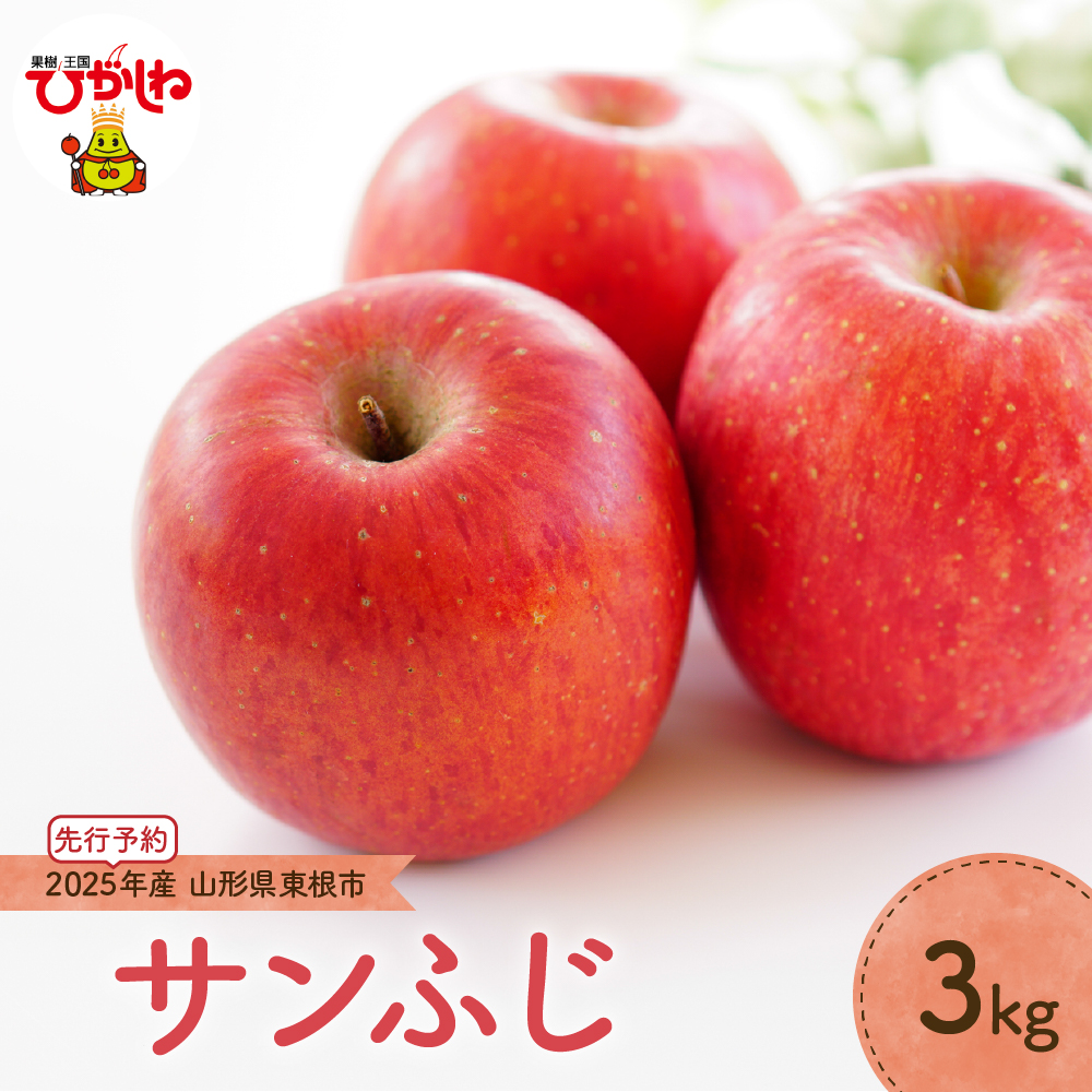【2025年産 先行予約】りんご「サンふじ」3kg JA提供 山形県 東根市 hi003-137-1山形県東根市13000果物・フルーツりんご・梨