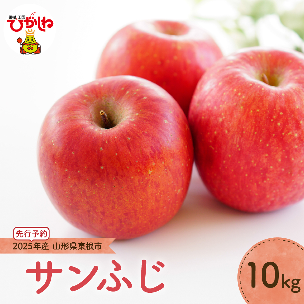 【2025年産 先行予約】りんご「サンふじ」10kg JA提供 山形県 東根市 hi003-139-1山形県東根市25000果物・フルーツ