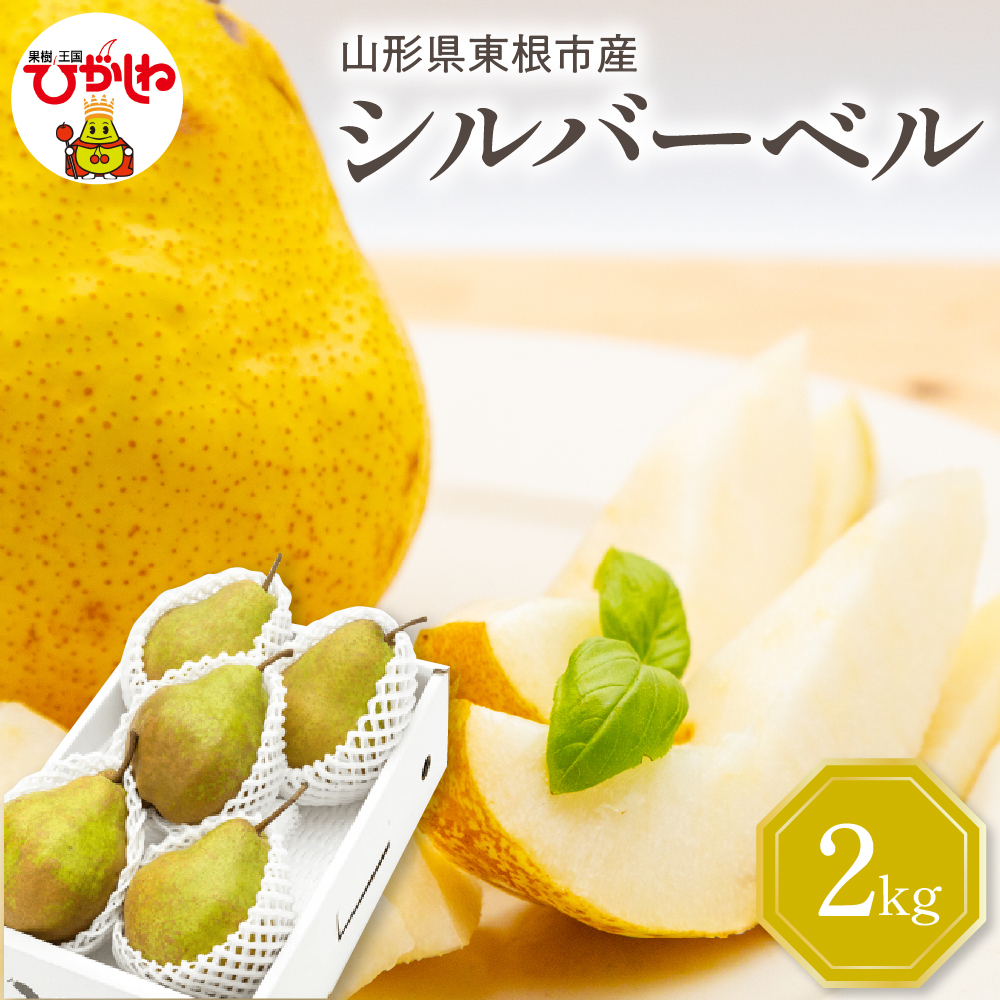 【令和7年産 先行予約】西洋梨シルバーベル2kg 山形県 東根市 東根農産センター提供 hi027-200-1山形県東根市9000果物・フルーツ