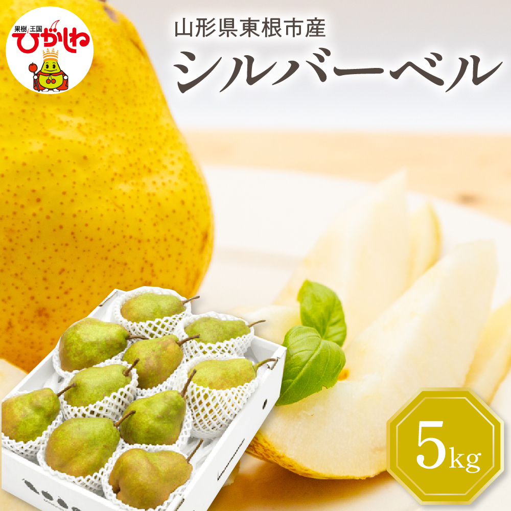 【令和7年産 先行予約】西洋梨シルバーベル5kg 山形県 東根市 東根農産センター提供 hi027-199-1山形県東根市14000果物・フルーツ