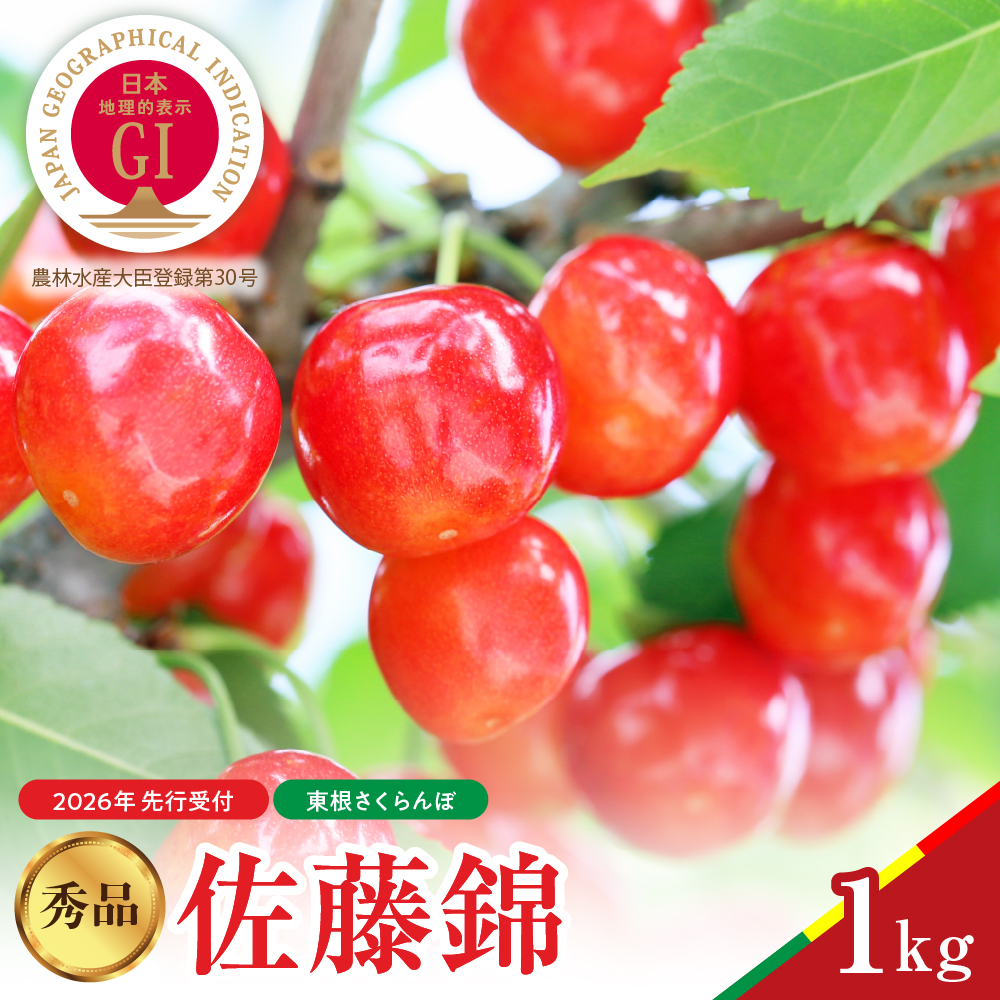 【2026年産 先行予約】佐藤錦 秀品 1kg 山形県 東根市 hi062-045山形県東根市20000果物・フルーツ