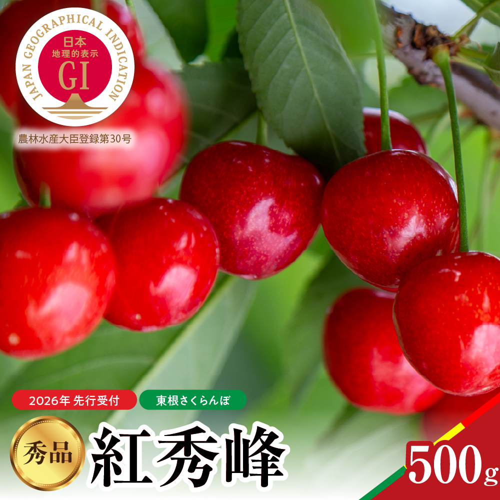 【2026年産 先行予約】紅秀峰 秀品 500g 山形県 東根市 hi062-052山形県東根市11000果物・フルーツ