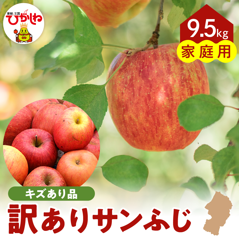 【令和7年産 先行予約】ご家庭用サンふじ満杯詰(約9.5kg) 山形県 東根市 東根農産センター提供 hi027-203-1山形県東根市12000果物・フルーツ