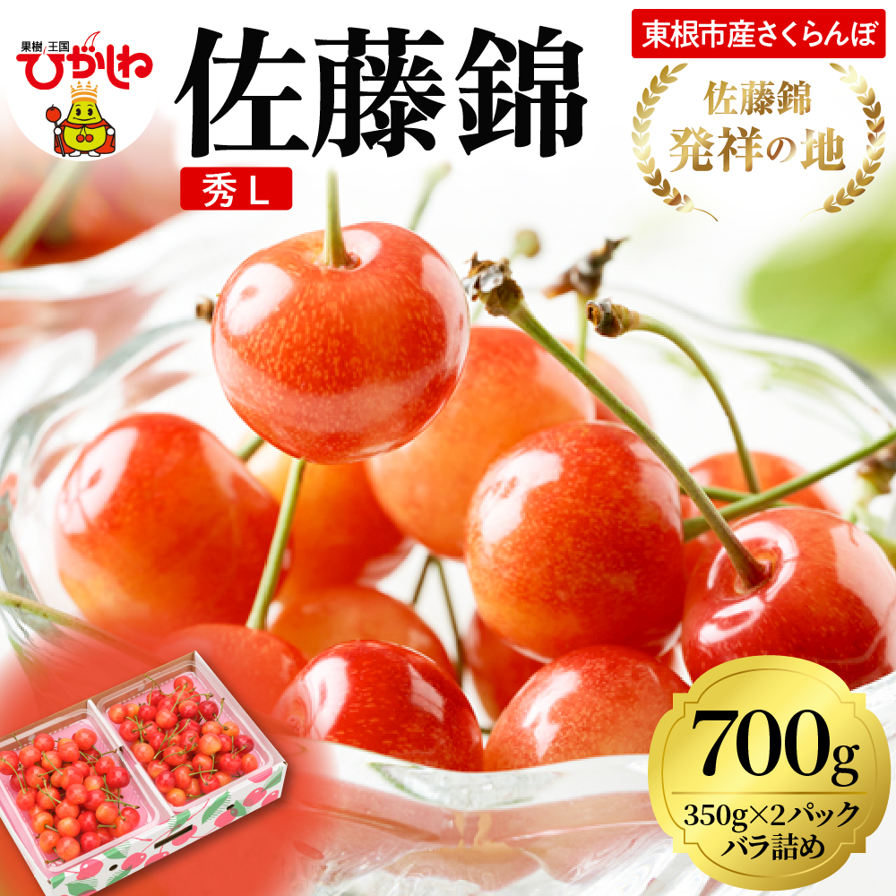 2026年 東根産さくらんぼ「佐藤錦」700gバラ詰め(350g×2パック) 秀品 Lサイズ 東根農産センター提供 山形県 東根市 hi027-218山形県東根市18000果物・フルーツ
