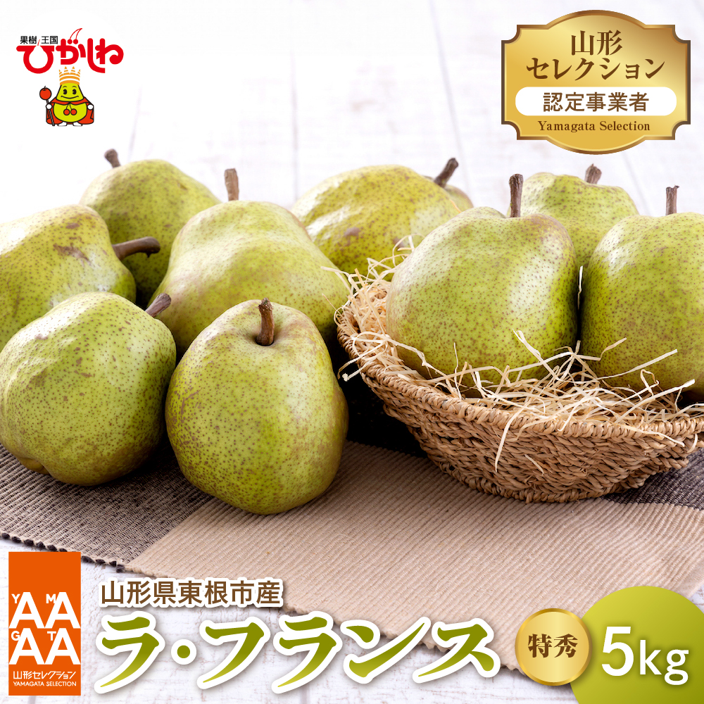 【令和7年産 先行予約】山形セレクション ラ・フランス 5kg 山形県 東根市 hi069-010-1山形県東根市15000果物・フルーツりんご・梨