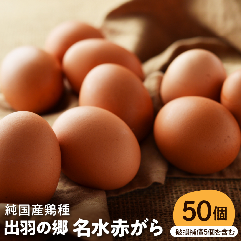 【山形県東根市産】 出羽の郷名水赤がら50個入(破損補償5個を含む) 半澤鶏卵提供 山形 東根 hi071-003山形県東根市14000卵・乳製品卵(鶏、烏骨鶏等)
