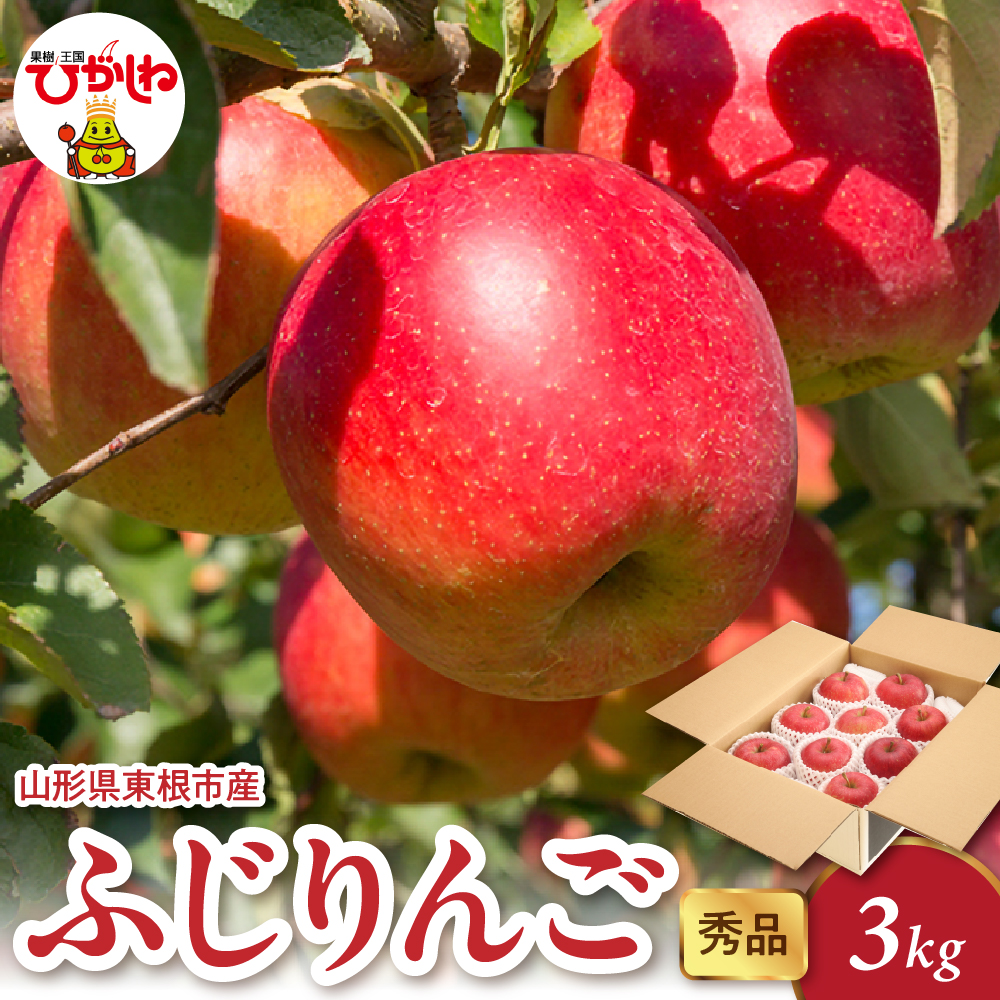 2025年産 ふじりんご 3kg(6-13玉) 秀品 山形県 東根市 hi082-017-1山形県東根市11000果物・フルーツ