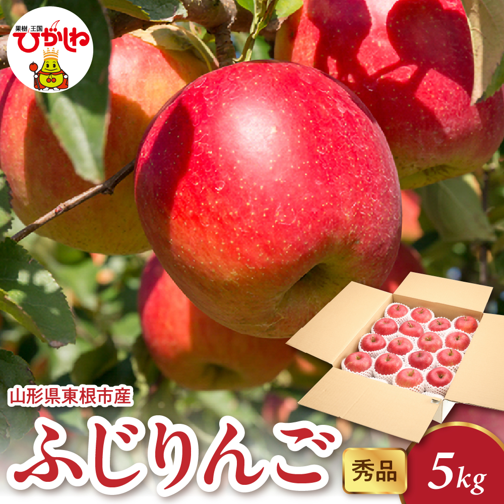 2025年産 ふじりんご 5kg(10-22玉) 秀品 山形県 東根市 hi082-018-1山形県東根市16000果物・フルーツ