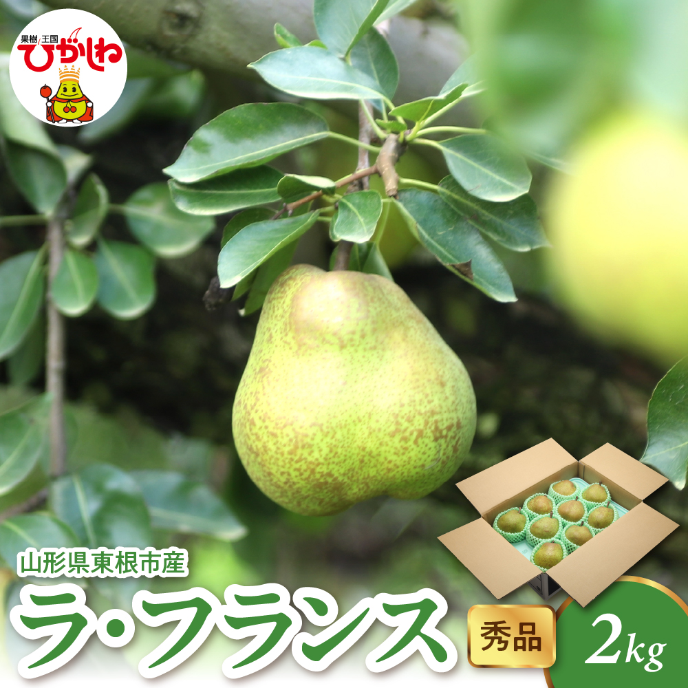2025年産 ラ・フランス2kg(4-9玉) 秀品 山形県 東根市 hi082-020-1山形県東根市10000果物・フルーツ