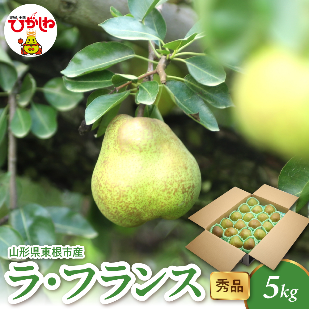2025年産 ラ・フランス5kg(10-22玉) 秀品 山形県 東根市 hi082-022-1山形県東根市16000果物・フルーツ