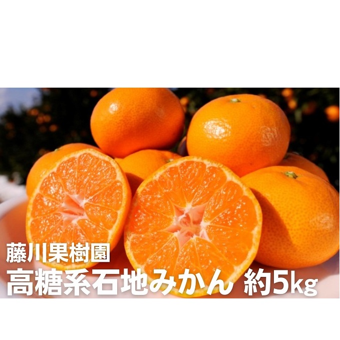 2025年秋よりお届け 高糖系石地みかん 約5kg 果物類/みかん 柑橘類 フルーツ ミカン 蜜柑 香川県観音寺市12000果物・フルーツみかん・柑橘類